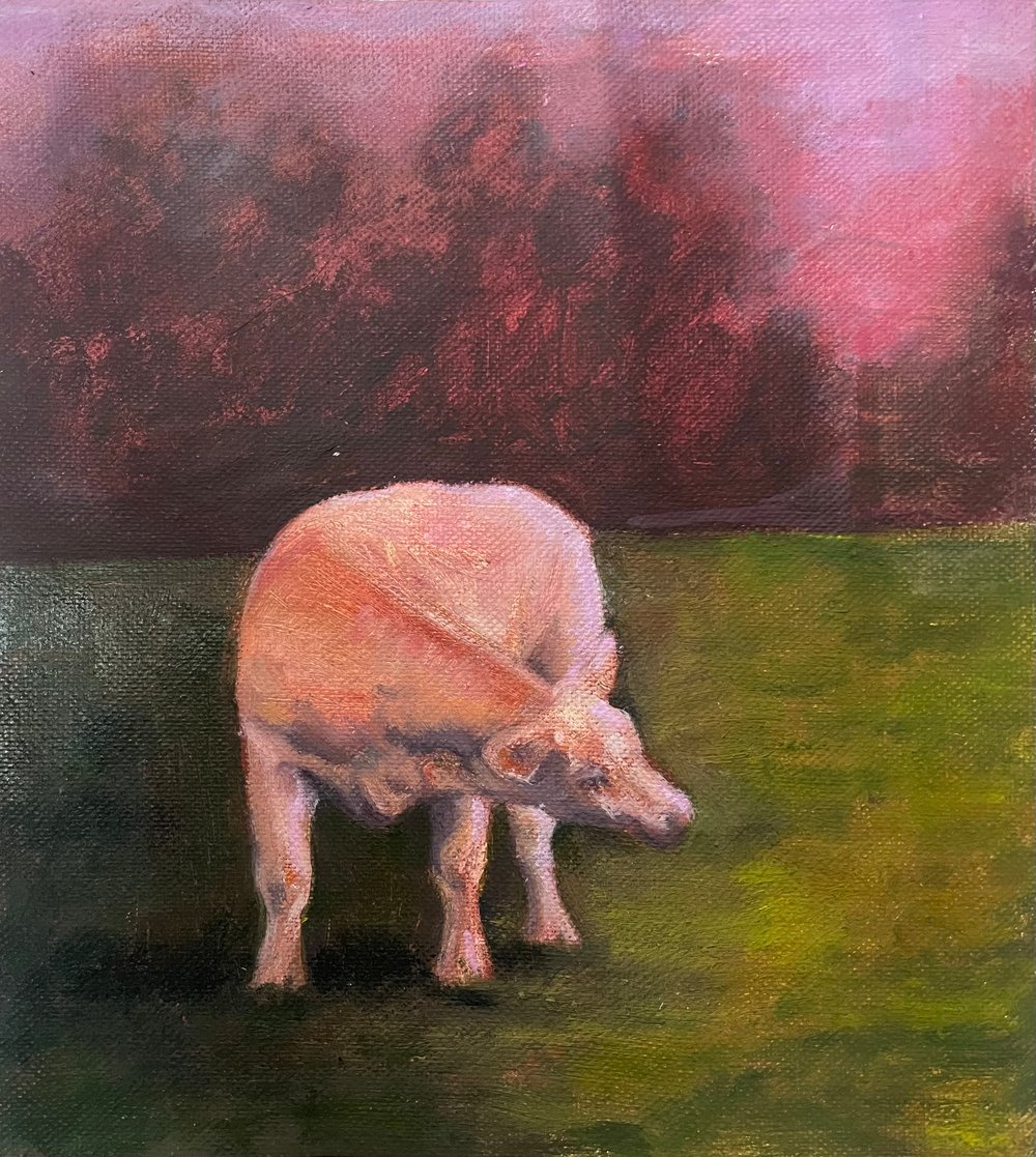 Vaches du Loir-et-Cher — image 2