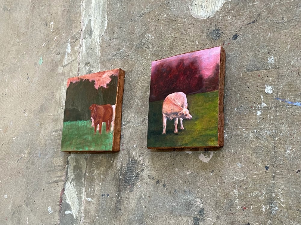 Vaches du Loir-et-Cher — image 4