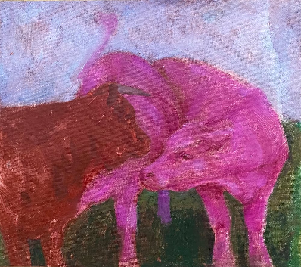 Vaches du Loir-et-Cher — image 3