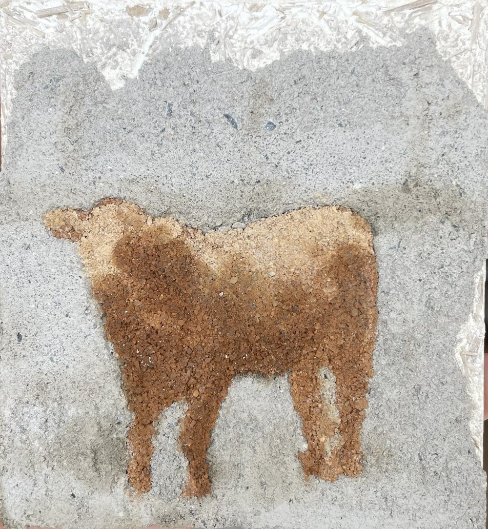 Petite Vache