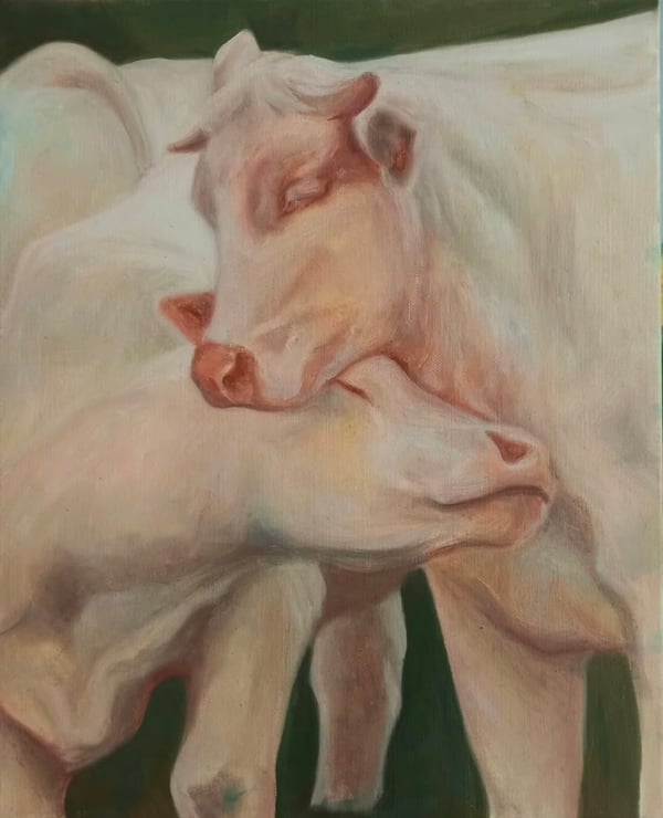 Tendres vaches — Huile sur toile, peinture de Sarah Jacquin