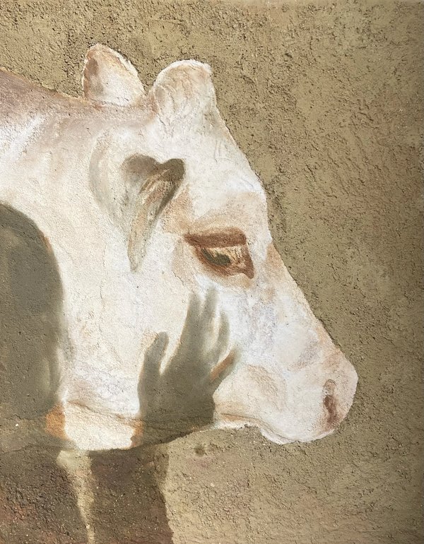 Vache contact — Enduit en terre sur bois,  huile de lin, œuvre en terre crue de Sarah Jacquin
