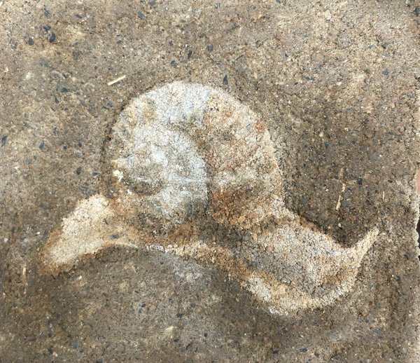 Fossil — Enduits en terre crue sur médium, œuvre en terre crue de Sarah Jacquin